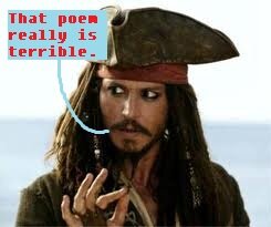 Judging pirate
